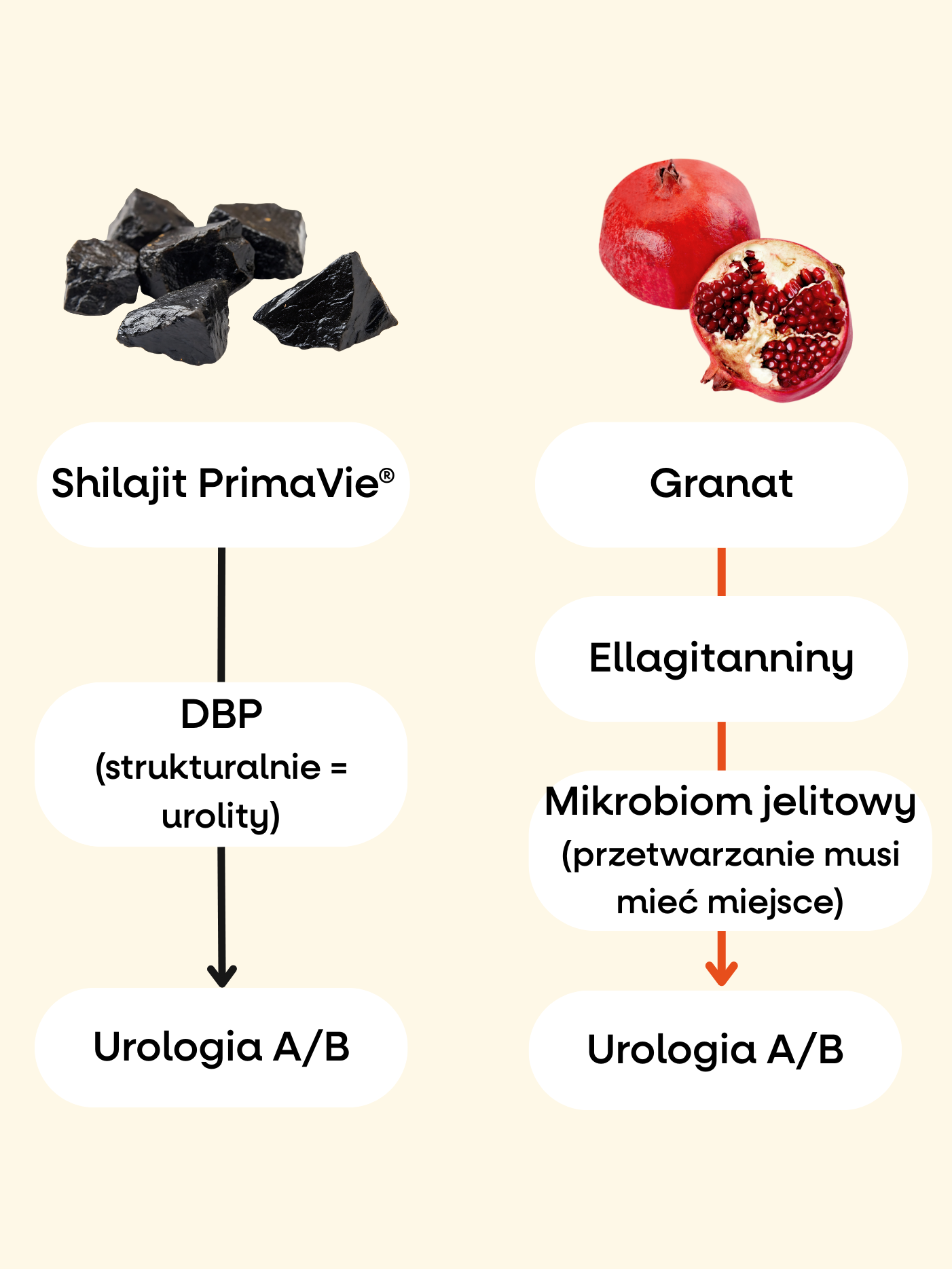 (Polština) - 2025-09-19T131832.176